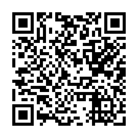 QR code for GWS384