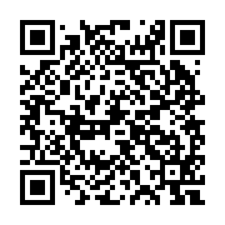 QR code for GXR295
