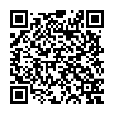 QR code for GXS533