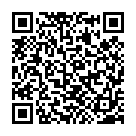 QR code for GYN413