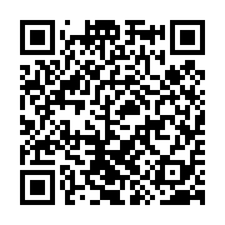 QR code for GYS419