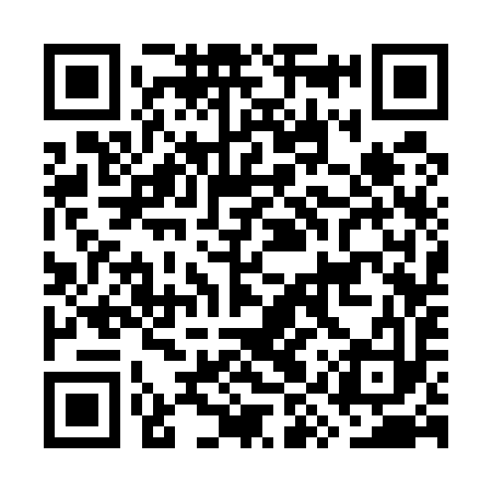 QR code for GYS593