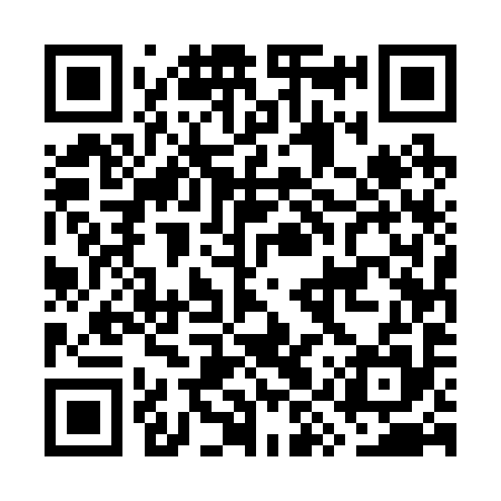 QR code for GYU295