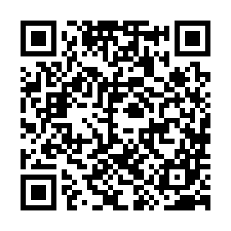 QR code for GYX387