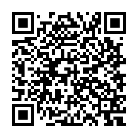 QR code for GZN161