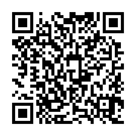 QR code for GZN385
