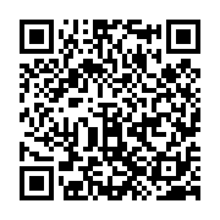 QR code for GZN411