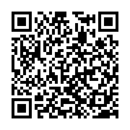 QR code for GZU311