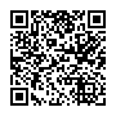 QR code for GZZ313