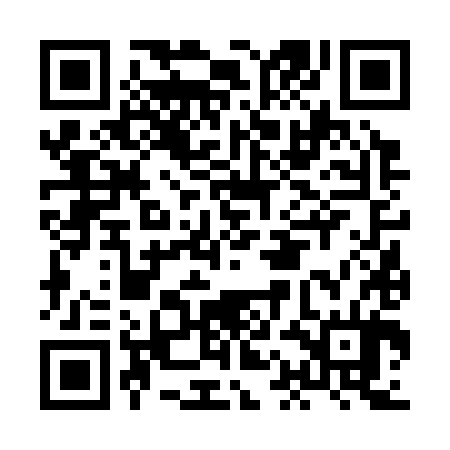 QR code for HAF384