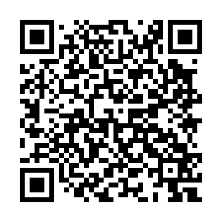 QR code for HAI063
