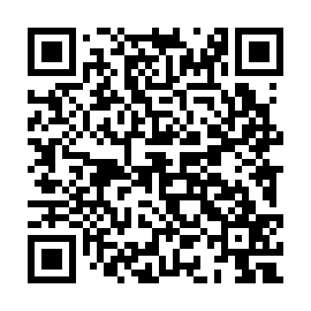 QR code for HAL337