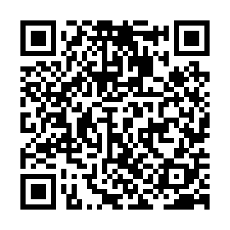 QR code for HAN208