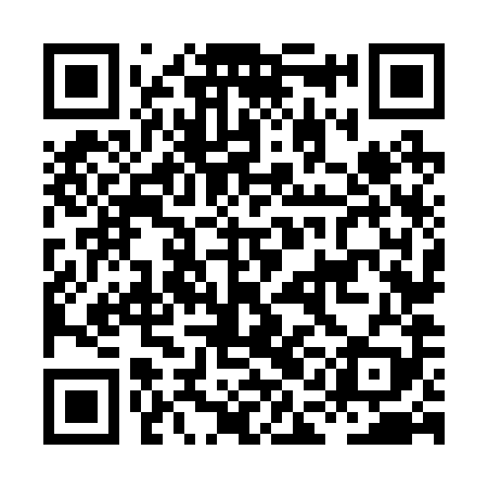 QR code for HAN289
