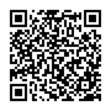 QR code for HAN386