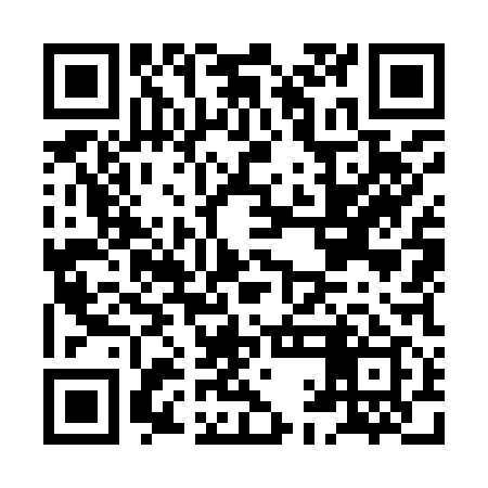 QR code for HAO919