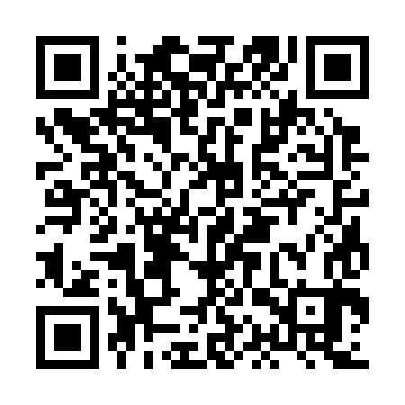 QR code for HAS383