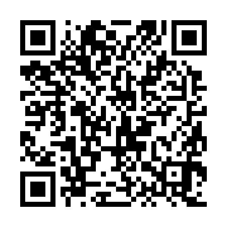 QR code for HAS390