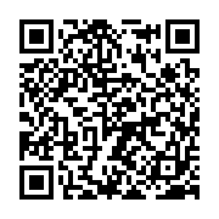 QR code for HAY313