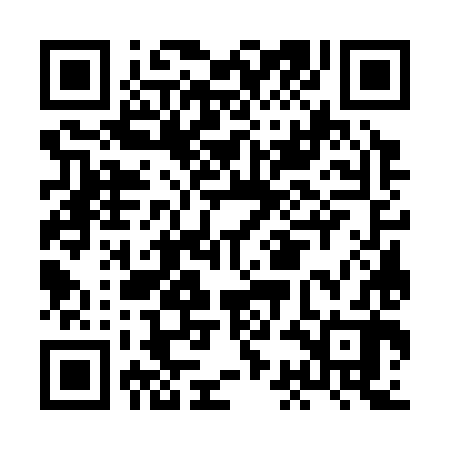 QR code for HCG382