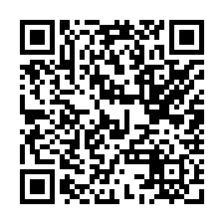 QR code for HCG838
