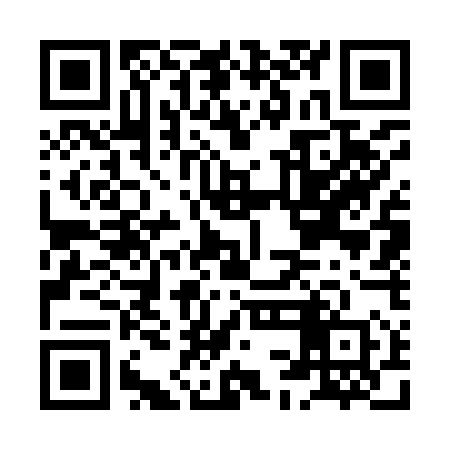 QR code for HCG950