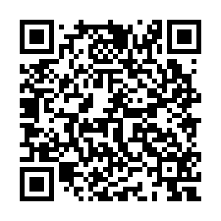 QR code for HCH316