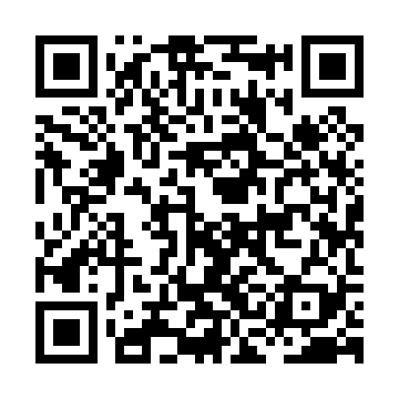 QR code for HCI029