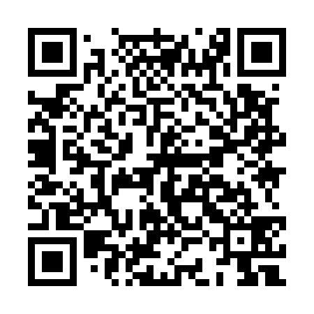 QR code for HCI539