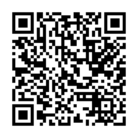 QR code for HCM313