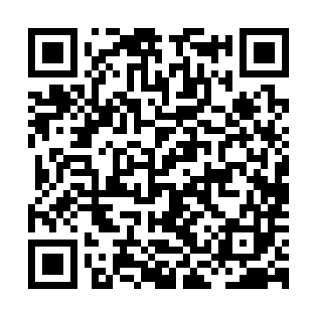 QR code for HCP383