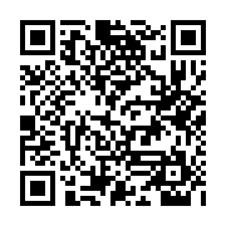 QR code for HDG317