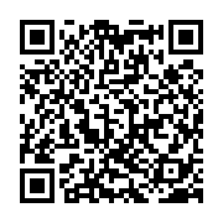 QR code for HDI538