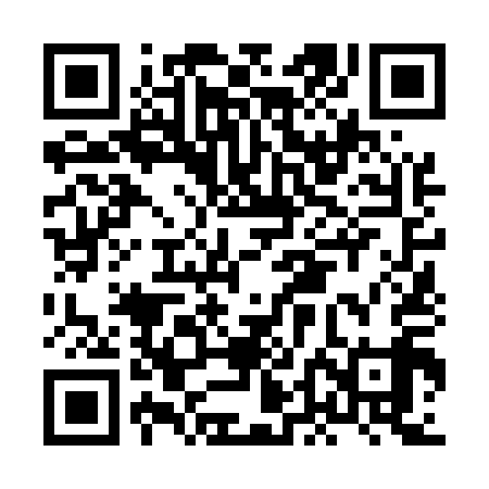 QR code for HDN519