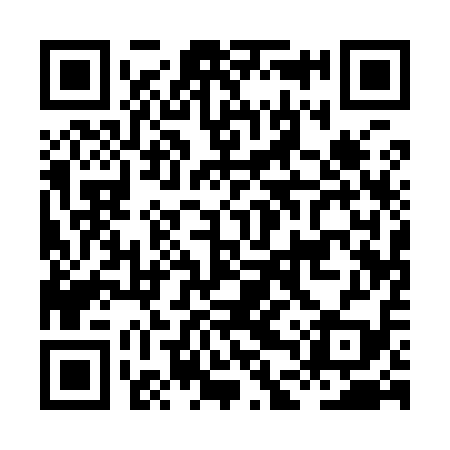 QR code for HDQ919