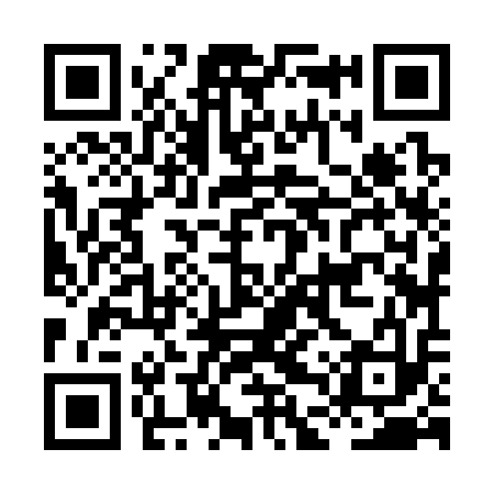 QR code for HDZ313