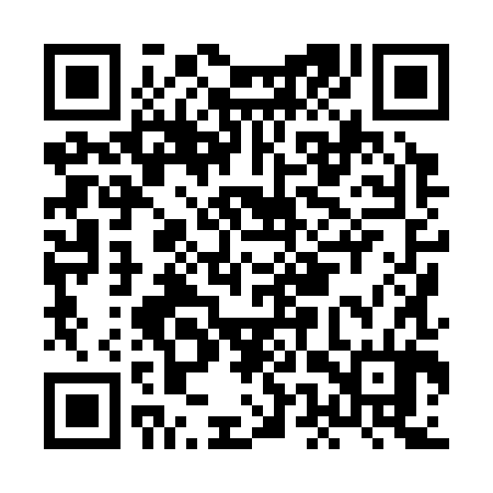 QR code for HEX384