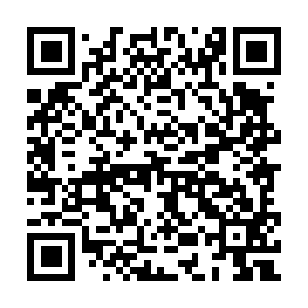 QR code for HEX493