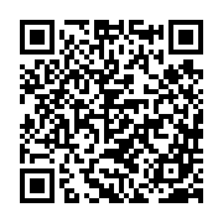 QR code for HEX647
