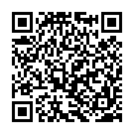 QR code for HFG496