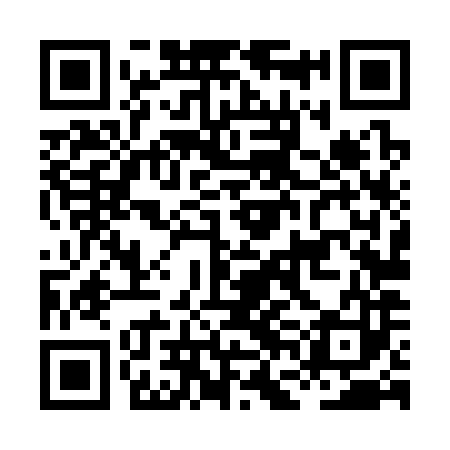 QR code for HFL383