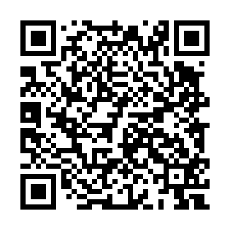 QR code for HFL413
