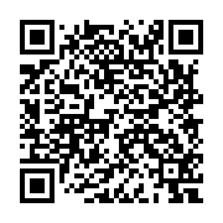 QR code for HFP913