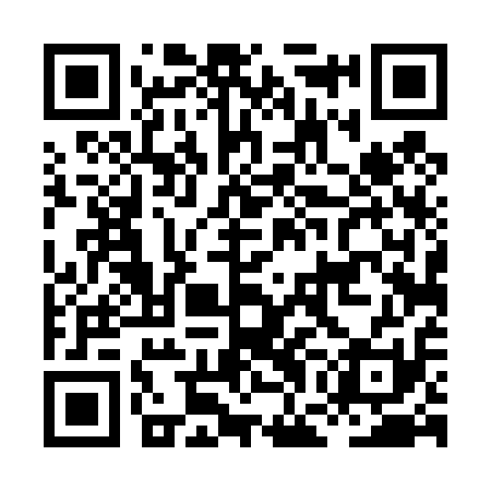 QR code for HGD411