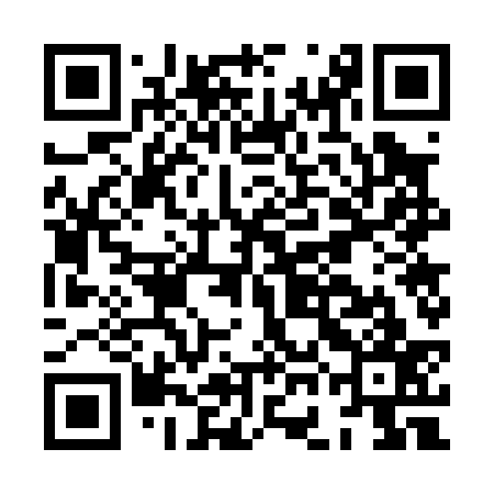 QR code for HGG037