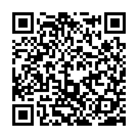 QR code for HGG349