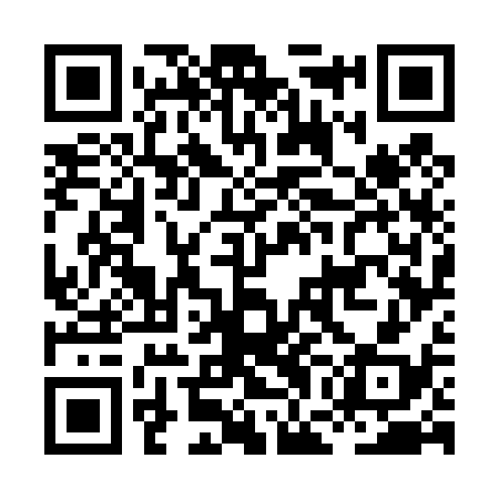 QR code for HGG438