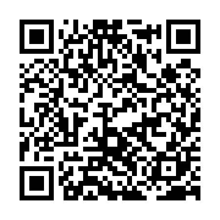 QR code for HGG500