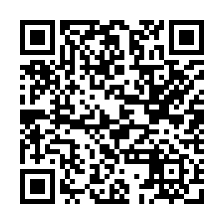 QR code for HGG919