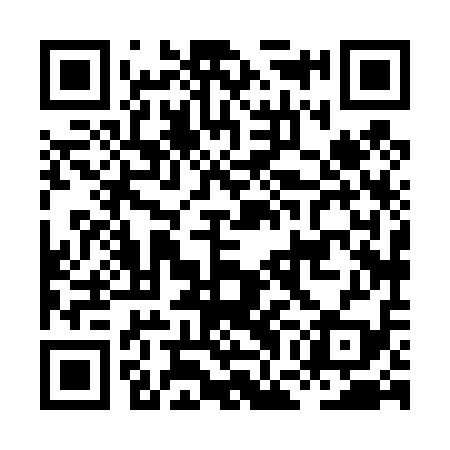 QR code for HGH419